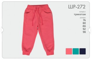 Утепленные спортивные брюки